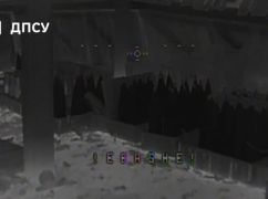 На Харківщині дрони прикордонників знищили артилерію ворога: відео операції