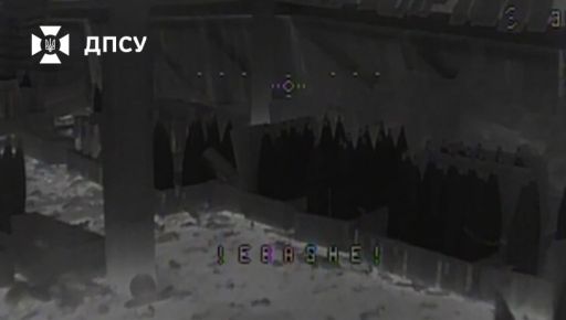 На Харківщині дрони прикордонників знищили артилерію ворога: відео операції