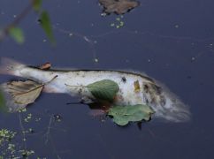 Руйнування греблі Оскільського водосховища: Оприлюднено розмір збитків