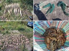 В Харьковской области браконьеры порыбачили на более чем 0,7 млн грн: детали