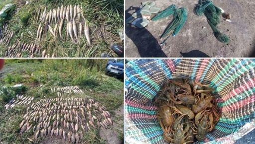 На Харківщині браконьєри порибачили на понад 0,7 млн грн: деталі