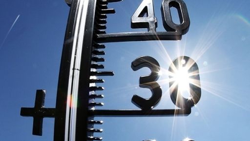 Аномальне тепло в листопаді: у Харкові другий день поспіль фіксують рекорд