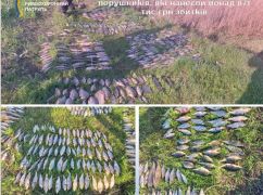 В Харьковской области схватили браконьеров с краснокнижным карасем: Ущерб достиг 871 тыс. грн