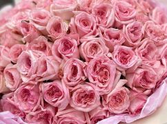 Троянди, які бачили війну: як квіти пережили катастрофи і зберегли людяність