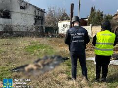 На Харьковщине эксгумировали тела родных братьев, убитых россиянами