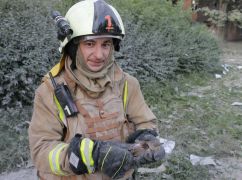 Харьковские спасатели достали из-под завалов разрушенной рашистами школы раненую птицу
