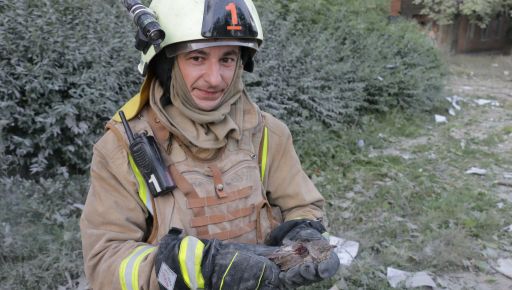 Харківські рятувальники дістали з-під завалів зруйнованої рашистами школи поранене пташеня