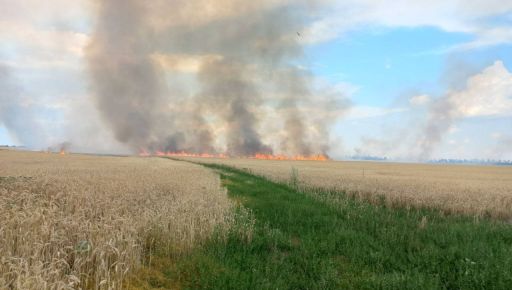 В Изюмском районе на Харьковщине в результате вражеских обстрелов горело поле пшеницы