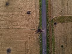 На Дергачівщині через російські бомбардування фосфором згорів врожай озимої пшениці
