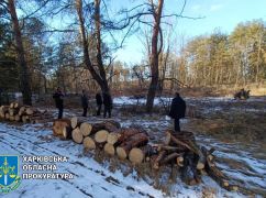 В Харьковской области разоблачили группу черных лесорубов, которые спилили деревьев на полмиллиона гривен