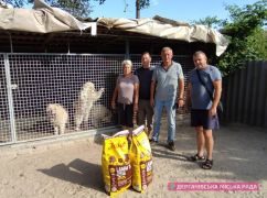 В питомнике чау-чау под Харьковом собакам не хватает корма