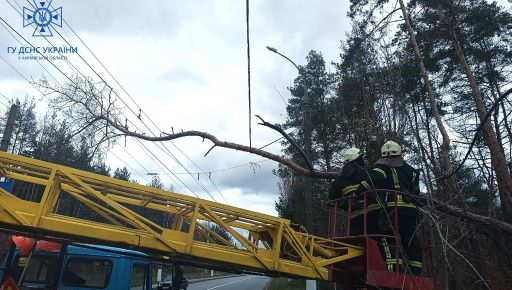 На Харківщині штормовий вітер зламав понад 100 дерев: Дані міськради та ДСНС