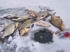 На Харківщині посилили заборону на вилов риби: Де не можна рибалити
