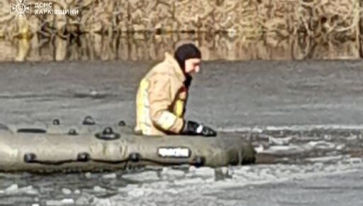 В Харькове ГСЧСники спасли собаку, провалившуюся под лед
