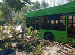 В Харькове из-за сильного ветра большая ветвь упала на остановку