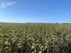 На Харківщині бізнесмен самовільно захопив землю: прокуратура пішла до суду