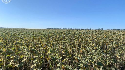 В Харьковской области бизнесмен самовольно захватил землю: прокуратура пошла в суд