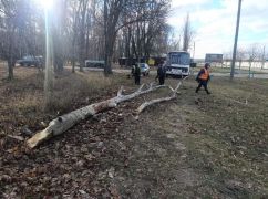 На Харківщині негода повалила дерева (ФОТОФАКТ)