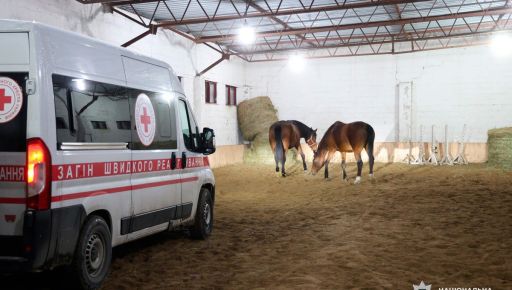 Под Харьковом эвакуировали почти два десятка лошадей, владелец которых убежал в рф