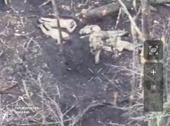 Прокуратура розслідує розстріл українських військовополонених в Харківській області