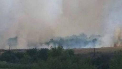 Оккупанты уничтожили поле пшеницы на Харьковщине