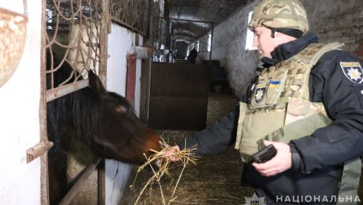 Розбита окупантами ферма: Харківські копи взяли під опіку майже 30 коней