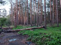 На Харьковщине оккупанты нанесли ущерб окружающей среде почти на 80 млрд грн – экоинспекция