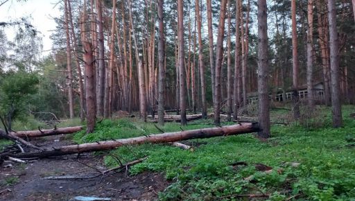 На Харківщини окупанти завдали шкоди довкіллю майже на 80 млрд грн – екоінспекція