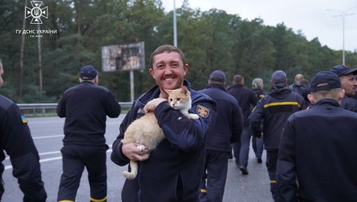 Столичний рятувальник прихистив кота, який втратив домівку в Ізюмі