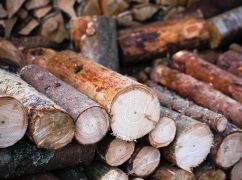 Благотворительная организация предоставит бесплатную древесину жителям деоккупированной Балаклейщины