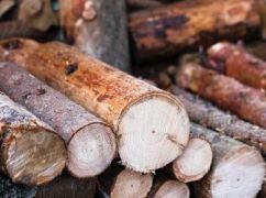 Безплатні дрова для мешканців Харківщини: Уряд виділив понад 65 млн грн