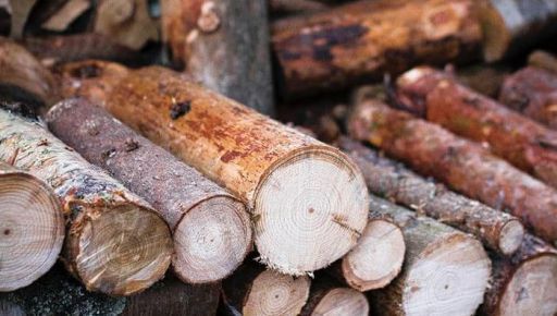 Відзавтра на Харківщині видаватимуть безплатні дрова: Хто може отримати (ІНФОГРАФІКА)