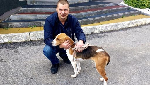 Зустріч крізь сльози: На Харківщині знайшовся господар собаки, яку врятували військові