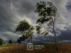 Мешканців Харківщини попередили про сильний вітер 22 серпня