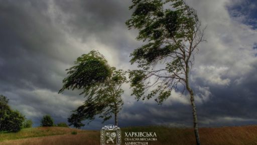Мешканців Харківщини попередили про сильний вітер 22 серпня