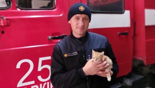 Почули відчайдушний крик: Харківські вогнеборці показали, кого врятували на пожежі
