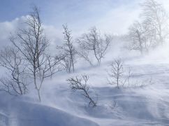 Синоптики попереджають про хуртовини та ожеледицю на Харківщині