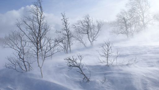 Синоптики предупреждают о метели и гололедице на Харьковщине