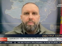 Синегубов не исключил, что оккупанты били по Харькову наугад