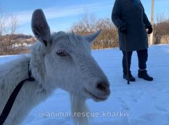 Харківські зоозахисники провели незвичну евакуацію з лінії розмежування