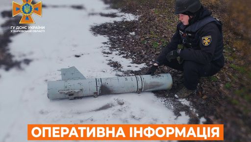 На Харківщині на гектарі території піротехніки знайшли більше 140 вибухонебезпечних предметів