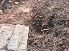 Оккупанты обстреляли сельхозпредприятие в Харьковской области: Данные ГСЧС