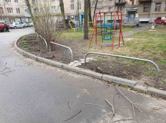 В центре Харькова неизвестные срубили экзотические деревья: Коммунальщики Терехова ищут свидетелей