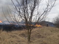 Сгорело около 100 га: ГСЧС сообщила о масштабных пожарах в Харьковской области