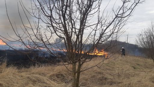 Згоріло близько 100 га: ДСНС повідомила про масштабні пожежі на Харківщині