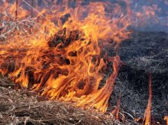 Окупанти обстріляли село на Харківщині: Загорілася трава