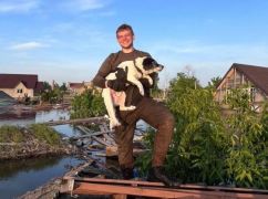 Сидять на даху та дрейфують у воді: Харківські волонтери розповіли, як рятуються собаки в Херсоні