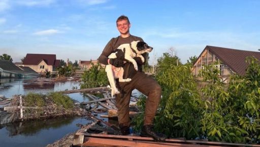 Сидят на крыше и дрейфуют в воде: Харьковские волонтеры рассказали, как спасаются собаки в Херсоне