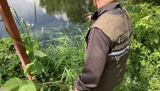 Масовий мор риби під Харковом: В екоінспекції розповіли про масштаби