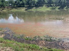 Розовая вода в Манжосовом Яру в Харькове: Экологи назвали вероятные причины